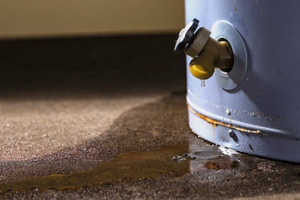 Best 24/7 water damage repair  in Reedsburg, WI
