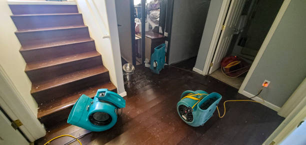 Best 24/7 water damage repair  in Reedsburg, WI