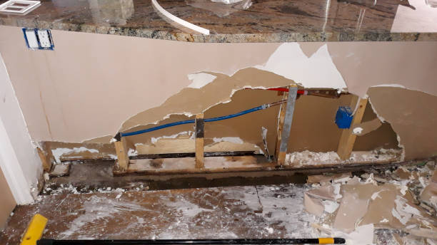 Best Basement water damage restoration  in Reedsburg, WI