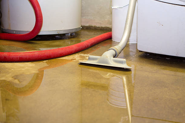 Best Flood restoration services  in Reedsburg, WI
