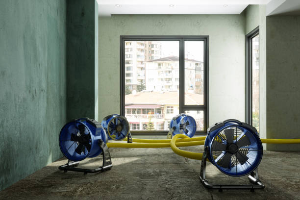 Trusted Reedsburg, WI Water damage restoration Experts